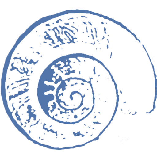 Biodynamische Craniosacral Therapie | Christine Kern